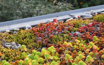the cost of Pontymoel green roof installation
