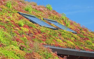 Pontymoel living roof systems